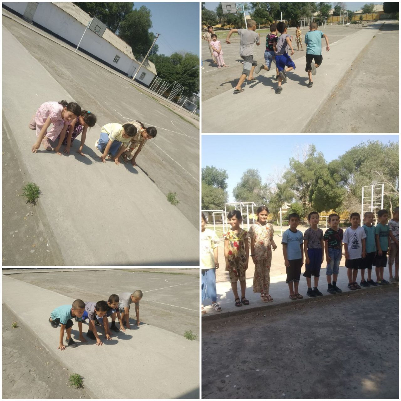 yozgi ta'til davrida tashkil qilgan to'garagidan foto lavhalar.